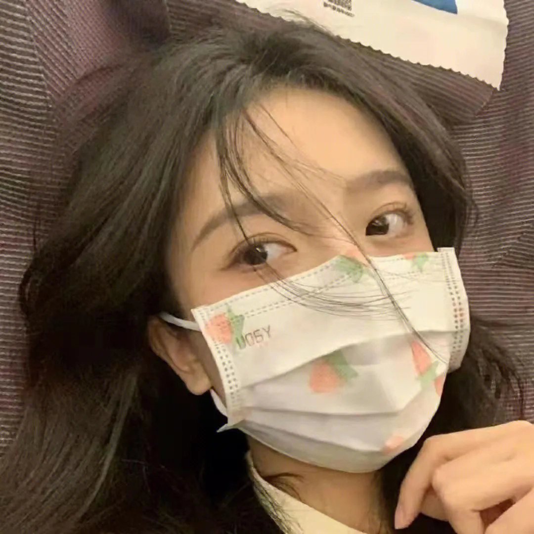 美国豚鼠3:所罗门之歌